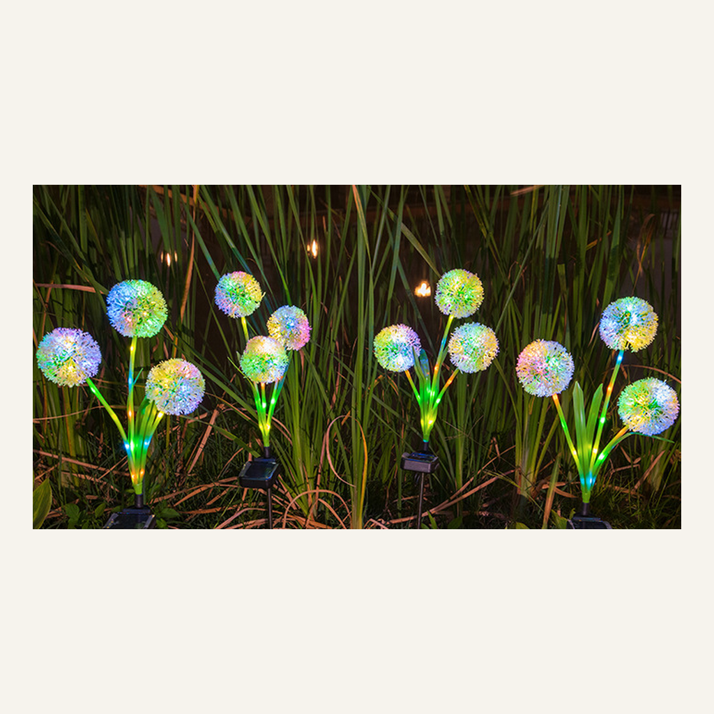 Solar flower garden lights illuminated outdoors