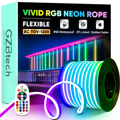 100 ft RGB LED Neon Rope Light with Remote