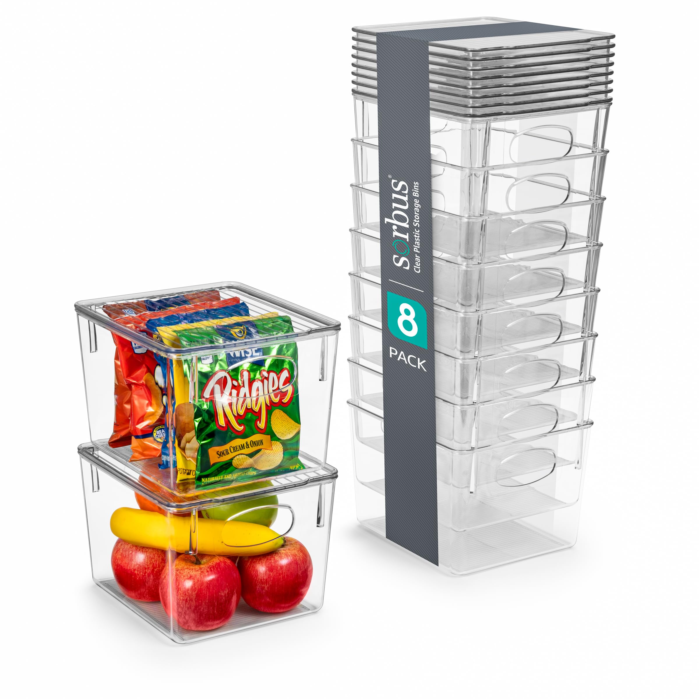 Clear Lidded Storage Bins, 8-Pack
